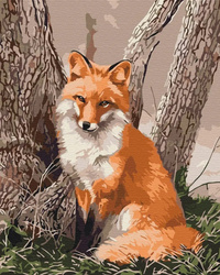 Symag Image Malen nach Zahlen - Fuchs im Wald