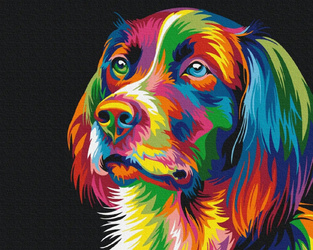 Symag Malen nach Zahlen - Hund in Farben