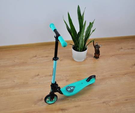 Kinderroller Milly Mally Scooter Smart Mint